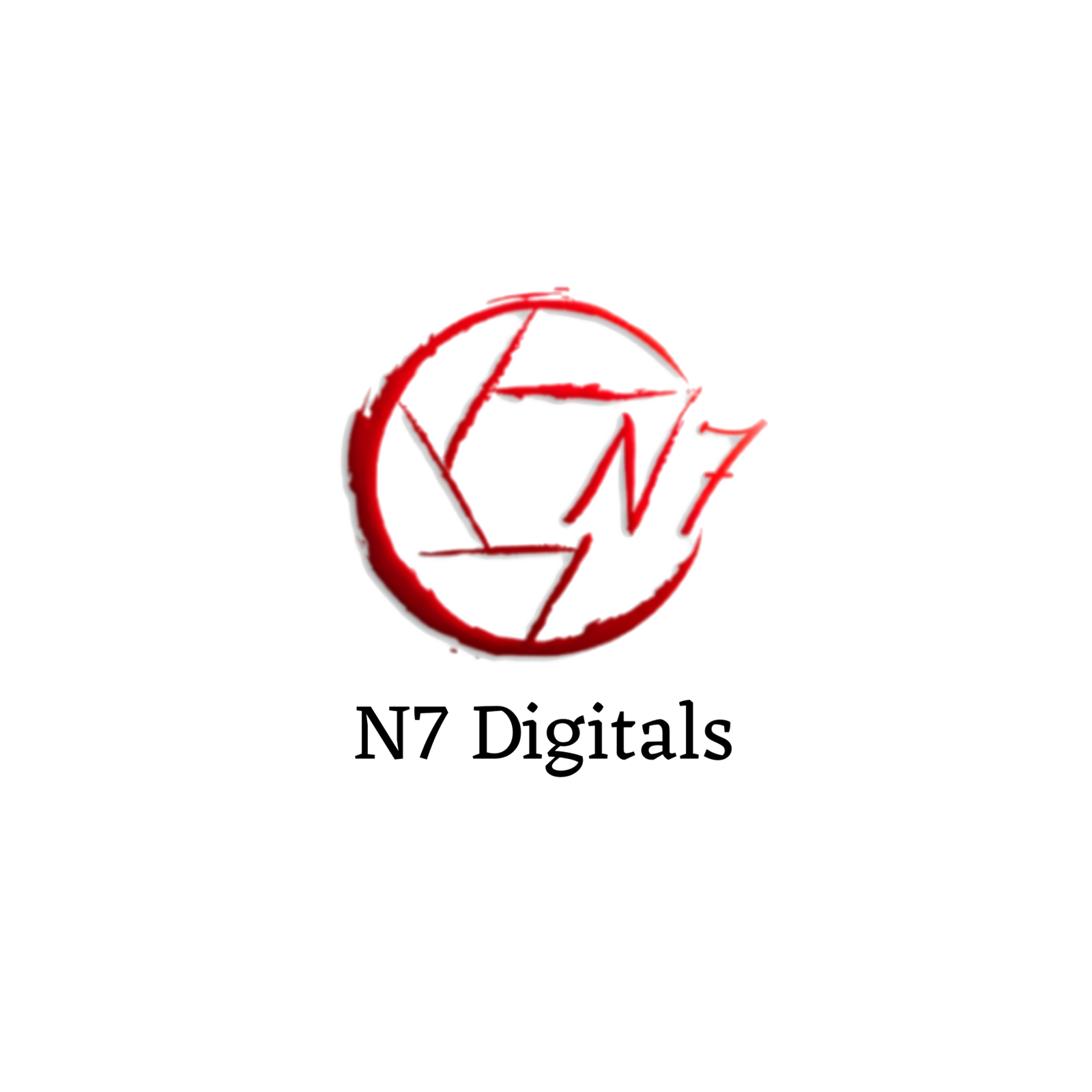 N7 Digitals Pvt. Ltd.